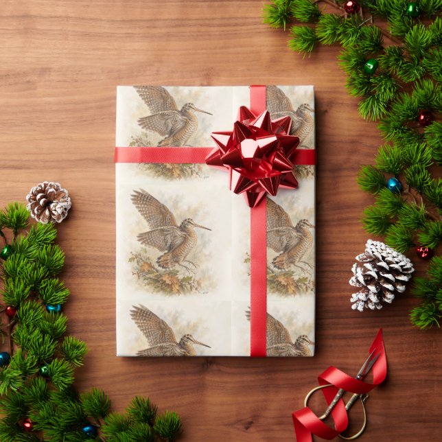 Papier Cadeau Bécasse  (Cadeau de vacances)