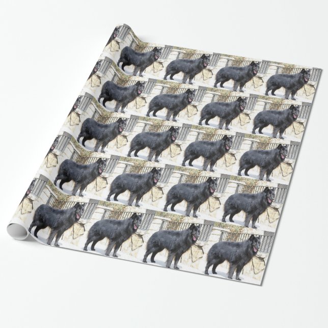 Papier Cadeau Belge (Groenendael) complètement (Déroulé)