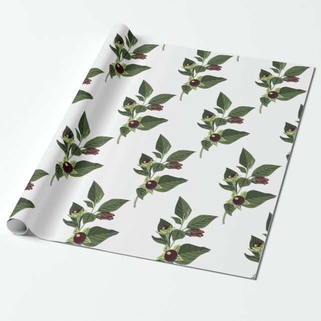 Papier Cadeau Belladone (Déroulé)
