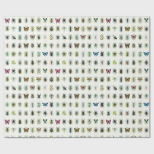 Papier Cadeau Belle collection d'insectes aquarelle style insect