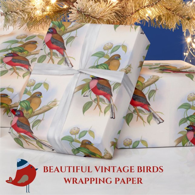 Papier Cadeau Belle illustration Vintage d'oiseaux colorée (This vintage birds gift wrap is great for bird lovers or nature buffs!)