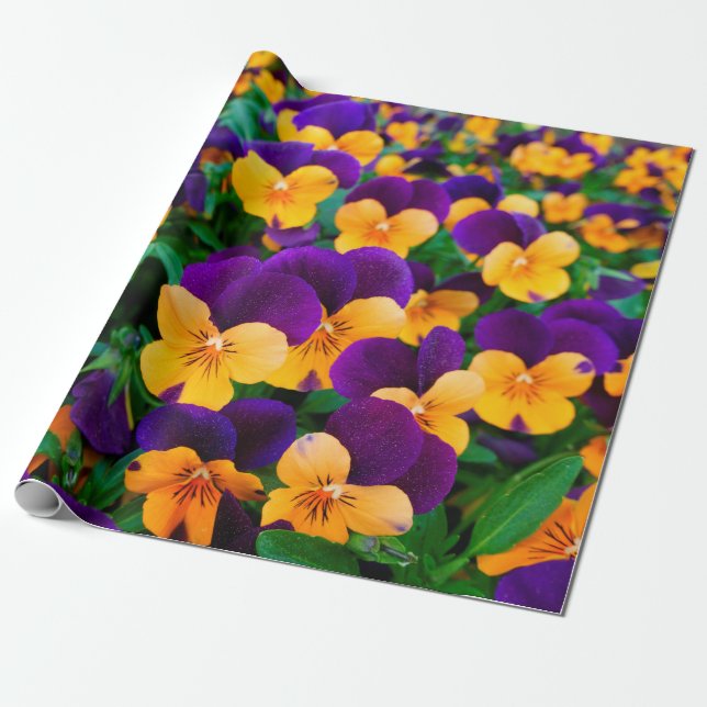 Papier Cadeau Belles boiseries fleuries dans le jardin (Déroulé)