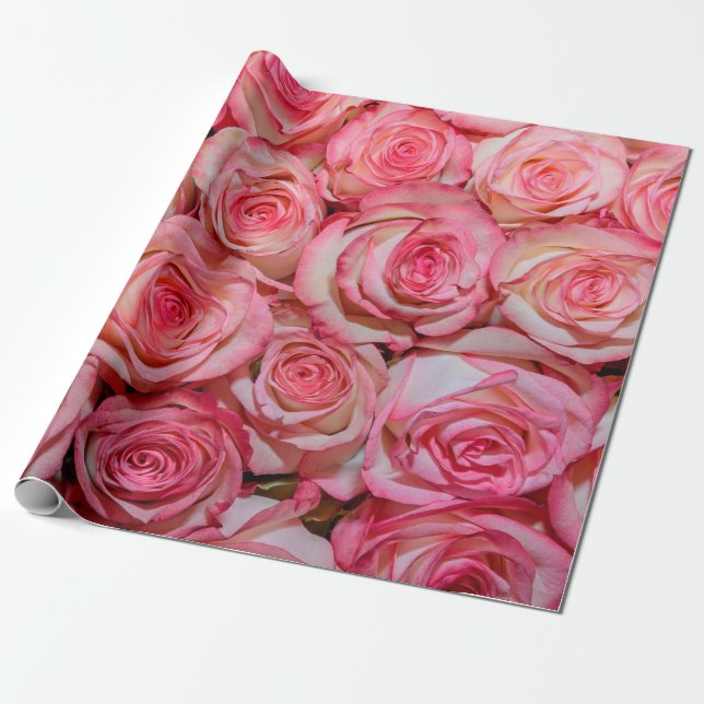 Papier Cadeau Belles roses roses roses (Déroulé)