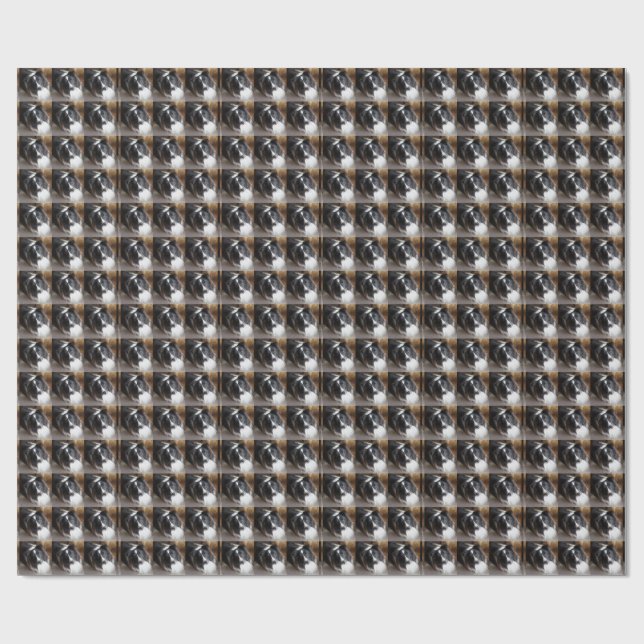 Papier Cadeau Berger des Shetland Noir et Blanc (Plat)