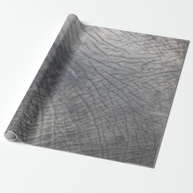 Papier Cadeau Berlin (Déroulé)
