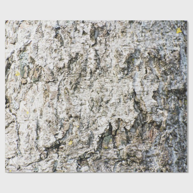Papier Cadeau Birch bark pattern (Plat)