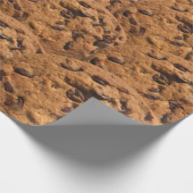 biscuit à puce chocolat