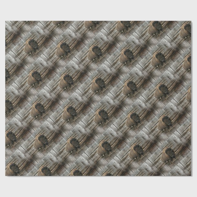 Papier Cadeau Bison de bois (Plat)