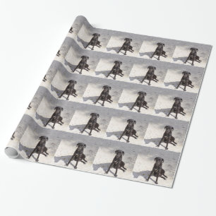 Papier Cadeau Black dog avec evil eye