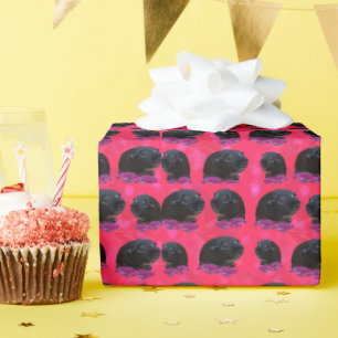 Papier Cadeau Black Guinée Pigs On Pretty Pink Rose