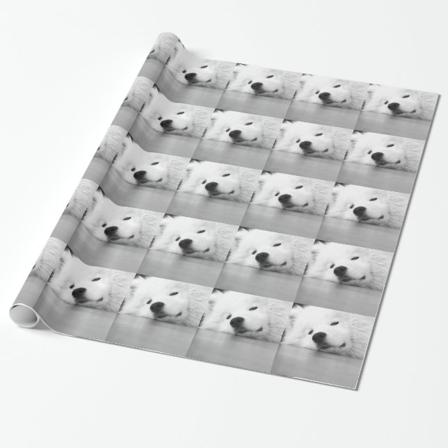 Papier Cadeau Blanc de chien de photo de Samoyed (Déroulé)