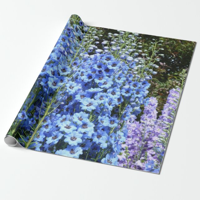 Papier Cadeau Bleu Delphinium Fleurs Florales Jardin Nature (Déroulé)