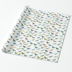 Papier Cadeau Bleu Vert coloré Oiseaux Brown Anniversaire