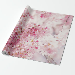 PAPIER CADEAU BLOSSOM ROSE ET CHERRY BLANC