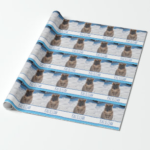 Papier Cadeau Blue Boys Personnalisé Quokka sur la plage