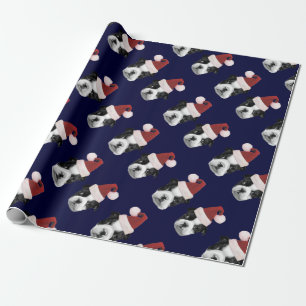 Papier Cadeau Blue Christmas Boston Terriers wrapping paper