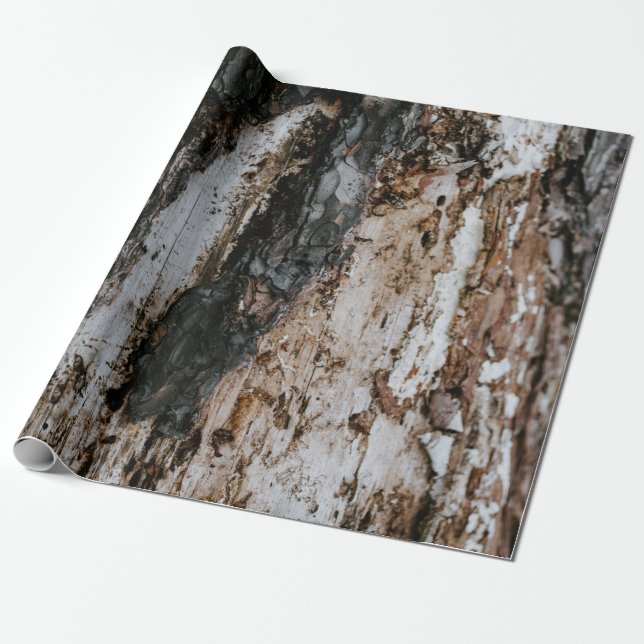 Papier Cadeau bois Brown (Déroulé)