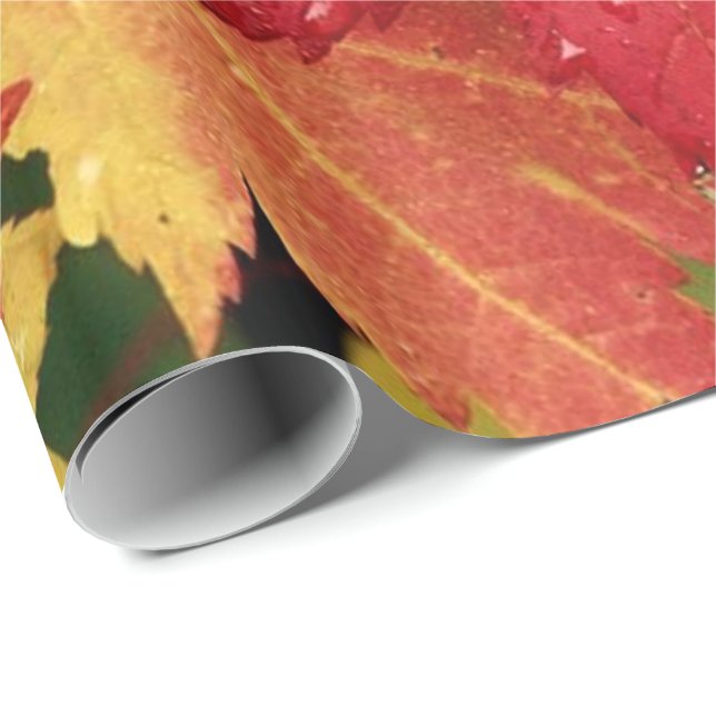 Papier Cadeau Bon thanksgiving 8 Papier d'emballage (Coin rond)