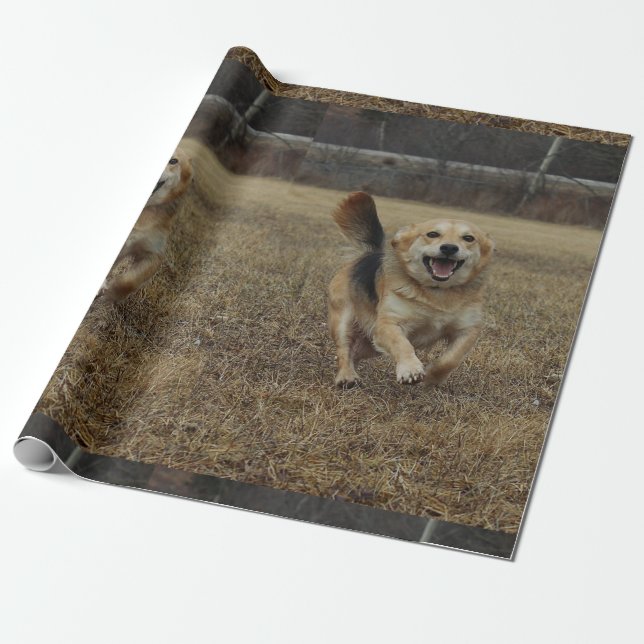 Papier Cadeau Bonheur (Déroulé)