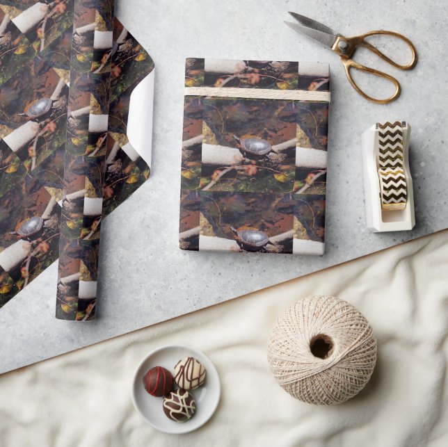 Papier Cadeau Bonne tortue (Artisanat)