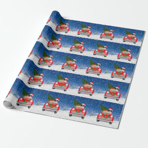 Papier Cadeau Border Collie  Chien Conduisant une Voiture Dans l