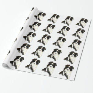 Papier Cadeau Bordure Collie Chien Animal animal animal de compa