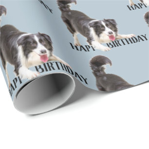Papier Cadeau Bordure d'anniversaire Collie sur bleu