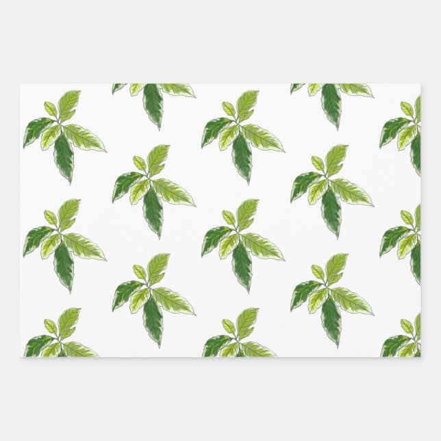 Papier cadeau botanique (Devant)