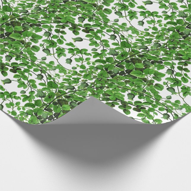 Papier Cadeau Botanique de vigne verte (Coin)