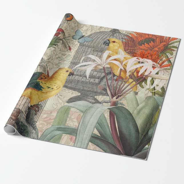 Papier Cadeau Botanique Vintage Oiseaux Nature Tropical Antique  (Déroulé)