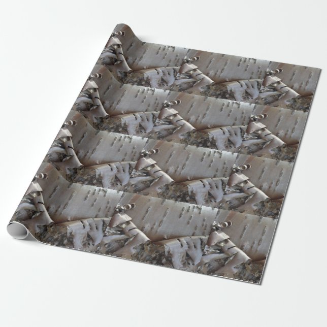 Papier Cadeau Bouleau courbe écorce rustique (Déroulé)