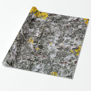 Papier Cadeau Bouleau et lichen
