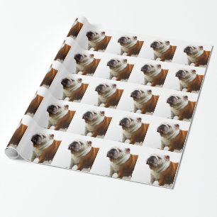 Papier Cadeau Bouledogue