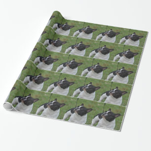 Papier Cadeau Bouledogue français noir et blanc