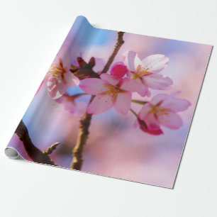 Papier Cadeau Bouquet De Fleurs Sakura À L'Ombre D'Un Arbre
