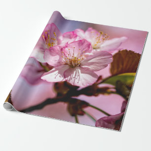 Papier Cadeau Bouquet De Fleurs Sakura Étonnantes De Couleurs Ro