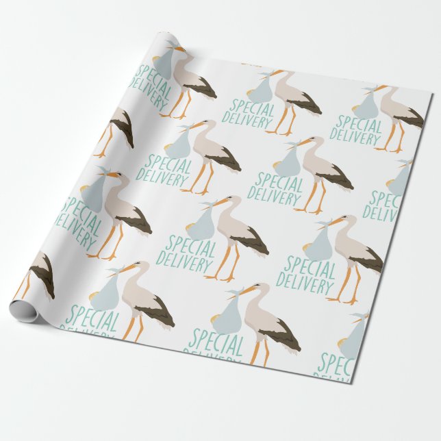 Papier Cadeau Boutique de livraison spéciale (Déroulé)