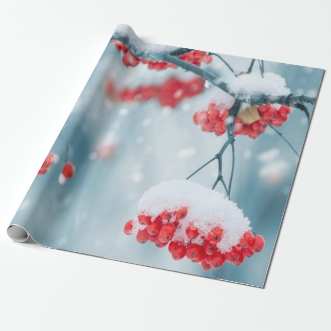 Papier Cadeau Branches de houx enneigées Fêtes (Déroulé)