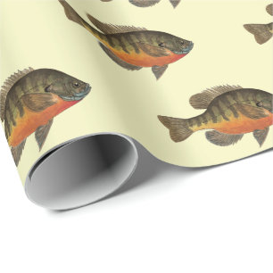 Papier Cadeau Bream, Bluegill