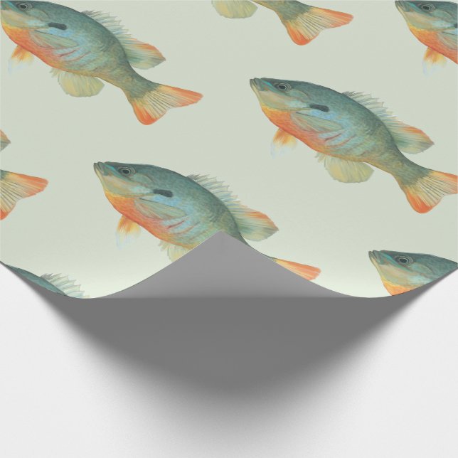 Papier Cadeau Bream Bluegill Sunfish Perch Poisson Cadeau (Coin)