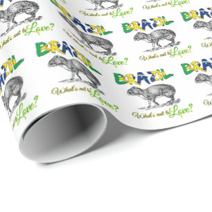 Papier Cadeau Brésil - Ce qui ne va pas aimer Brasil Citation