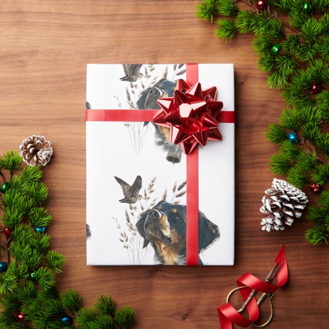 Papier Cadeau Bretagne Espagnol et bécasse (Cadeau de vacances)