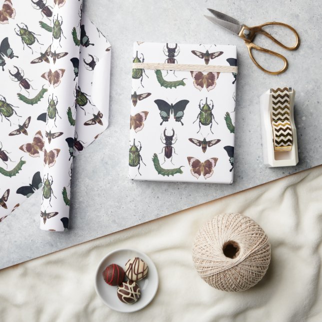 Papier Cadeau Bugs & Insects Anniversaire Garçon Vintage (Artisanat)