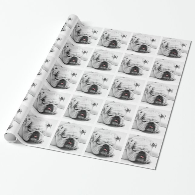 Papier Cadeau Bulldog (Déroulé)