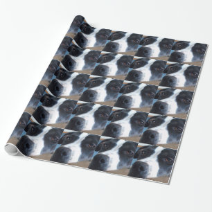 Papier Cadeau Cabot-Papier Pitt