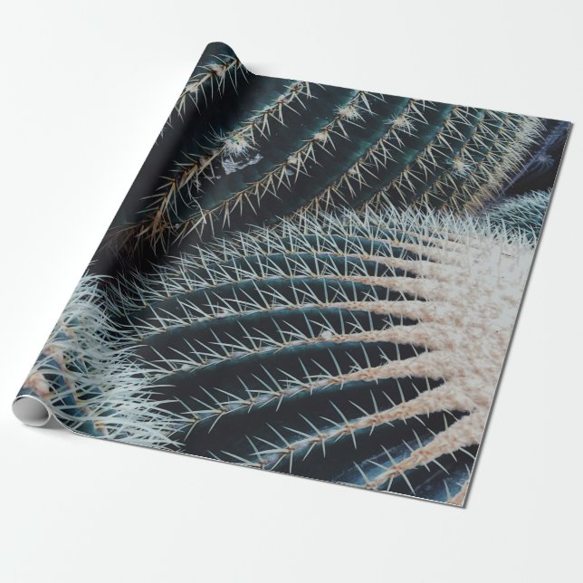 Papier Cadeau Cactus (Déroulé)