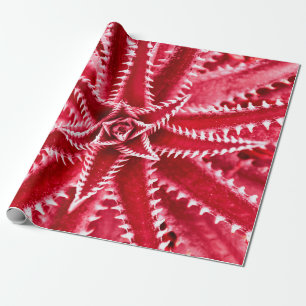 Papier Cadeau cactus à épines, motif naturel, dos rouge abstrait