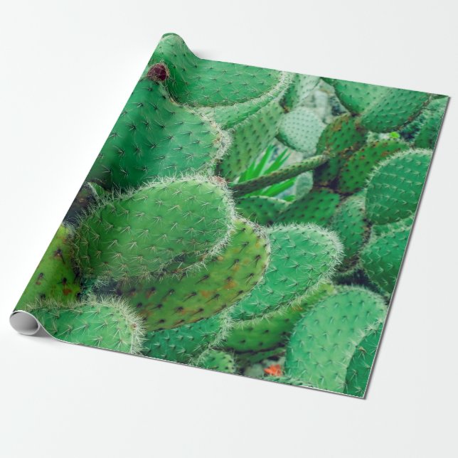 Papier Cadeau Cactus, cactus de poires épineuses, épines de cact (Déroulé)