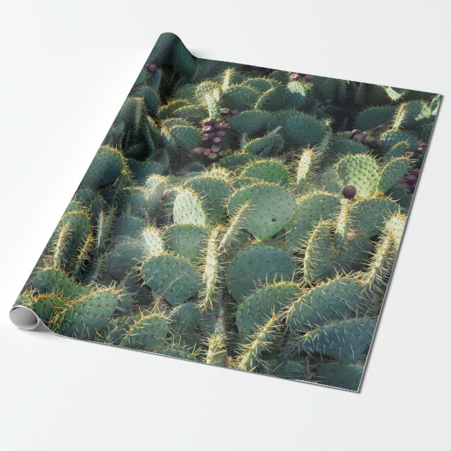 Papier Cadeau Cactus épineux (Déroulé)