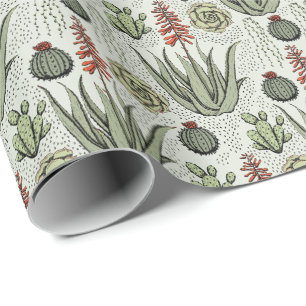 Papier Cadeau Cactus Succulent Aloe Vera Vert Clair